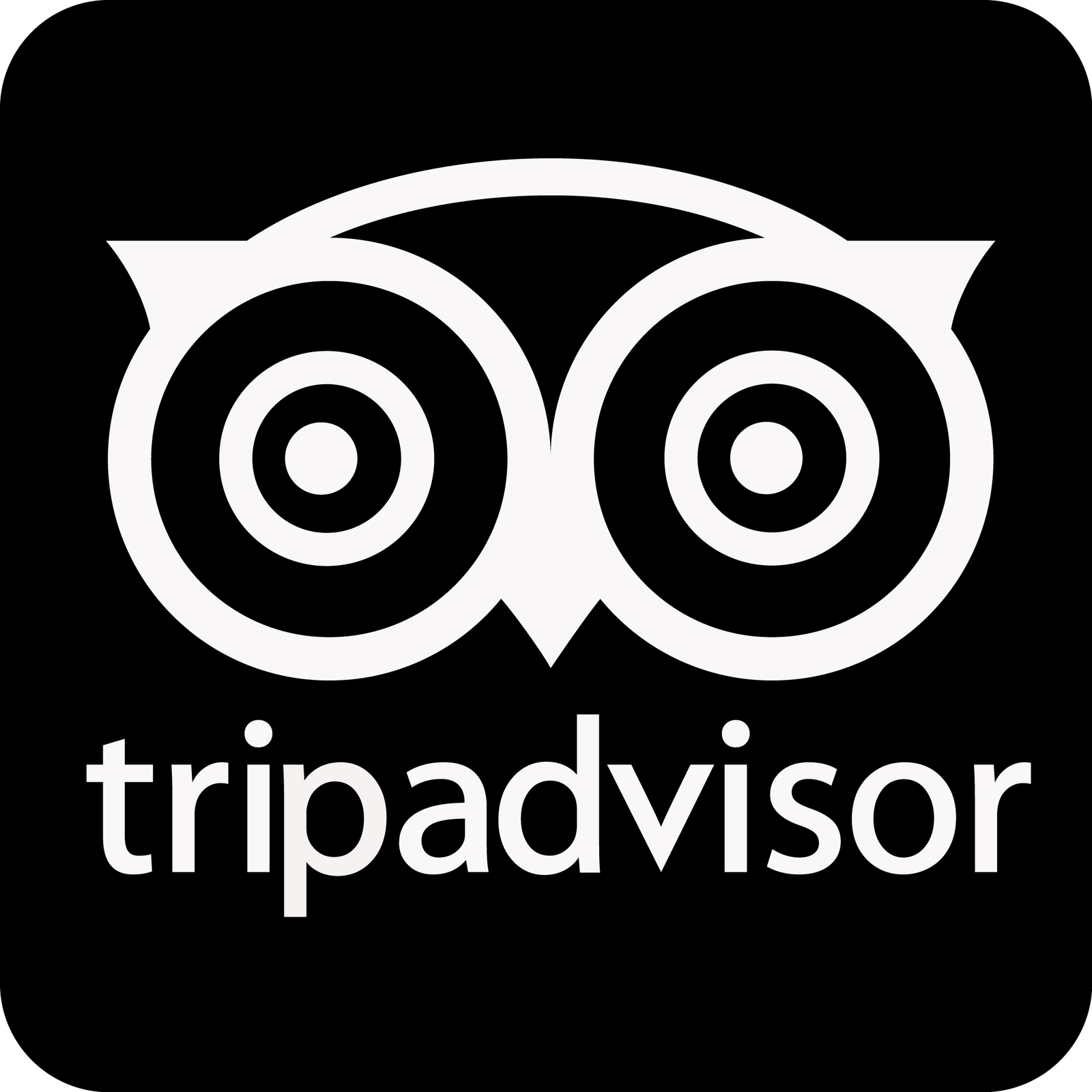 Tripadvisor logo
